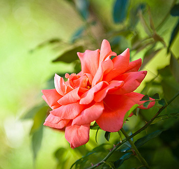 在线DDOS压力测试网页端