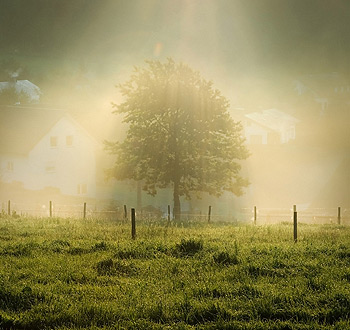即买即用不等待的如何攻击网站