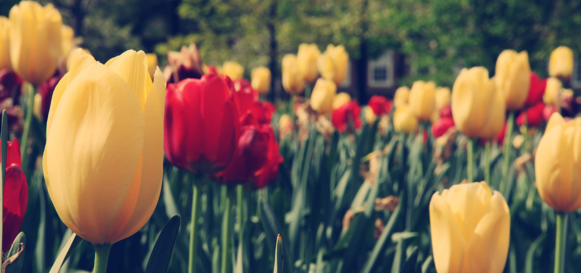 DDOS压力测试网页端