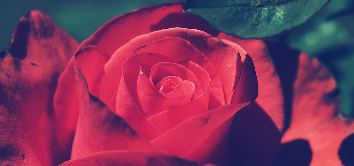 发卡网批发的ddos网页端