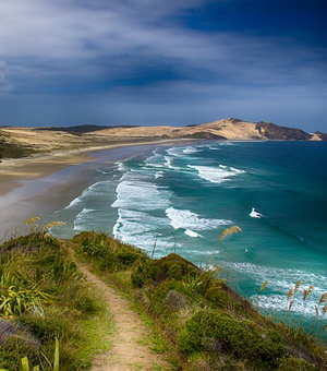 在线DDOS平台攻击